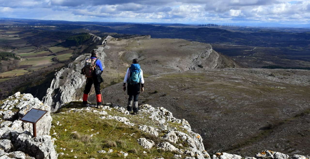 WhatsApp Image 2026-02-09 at 20.29.03